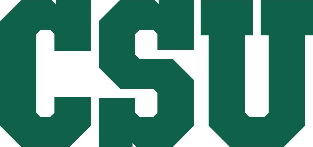 Colorado State Rams 1993-2014 Secondary Logo diy fabric transfer
